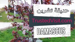 حديقة تشرين وسحر الطبيعة | دمشق | سوريا