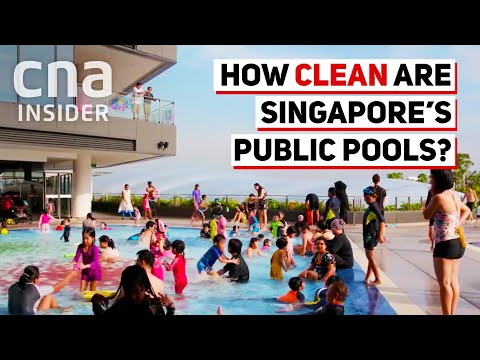 Видео: Сингапурт хэдэн усан сан байдаг вэ?