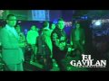 RICARDO CERDA El Gavilan En Vivo DESDE EL POTRERO CLUB