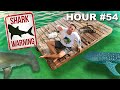 72 hours surviving at sea