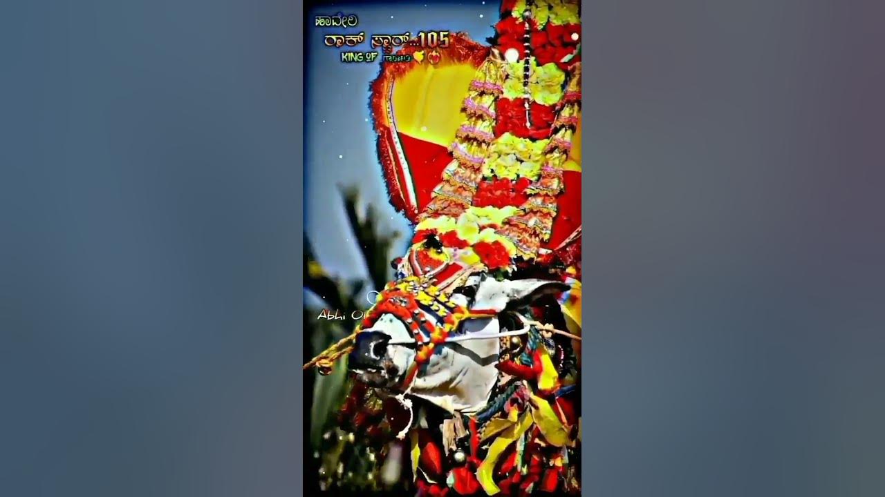 Haveri rockstar trending status haveri rockstar 105 haveri rockstar