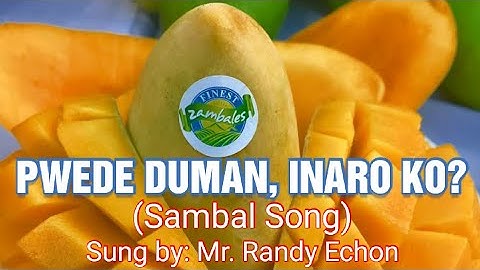 PWEDE DUMAN, INARO KO? (Sambal Song)