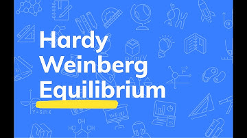 Hardy Weinberg Equilibrium Explained | BIOL 243 @ U of C | Wizeprep