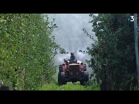 Pesticides : Labo de recherches à l'INRA