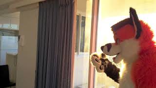 Sneezing in FURSUIT in HDR snippits