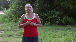 Homesteading Basics: The True Value of Silver