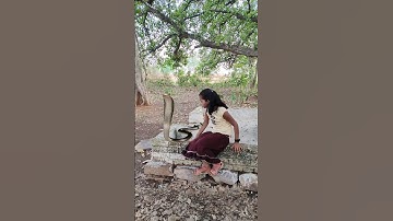 इच्छाधारी नागिन और माँ बेटी की कहानी🐍#shorts #nagin #snake #maa #beti #ytshort #youtubeshorts
