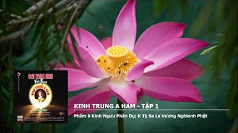 Tập 1 – Phẩm 6 K.Ngưu Phấn Dụ – K Tỳ Sa La Vương Nghienh Phật 