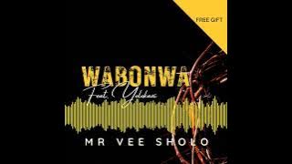 Wabonwa feat  Yolokazi | Mr Vee Sholo