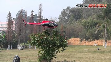 Eurocopter AS 350 - SKYRUSH COMPACTOR 700 - TrueScale Helikopter