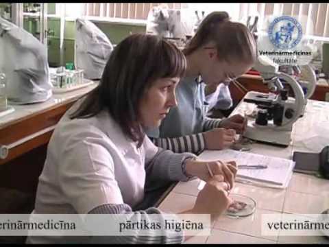 Video: Izpratne Par Veterinārmedicīnas žargonu