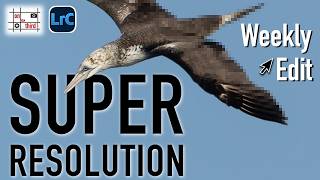 Can Lightroom Rescue a HEAVILY Cropped Photo? | Super Resolution | Weekly Edit #28 screenshot 5