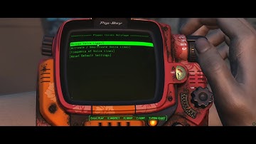 Fallout 4 MOD - Player Curses During Lockpicking and Hacking "Holotape"