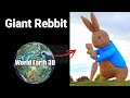 878 giant rebbit google earth googleearth googlemaps worldearth3d worldearth4d