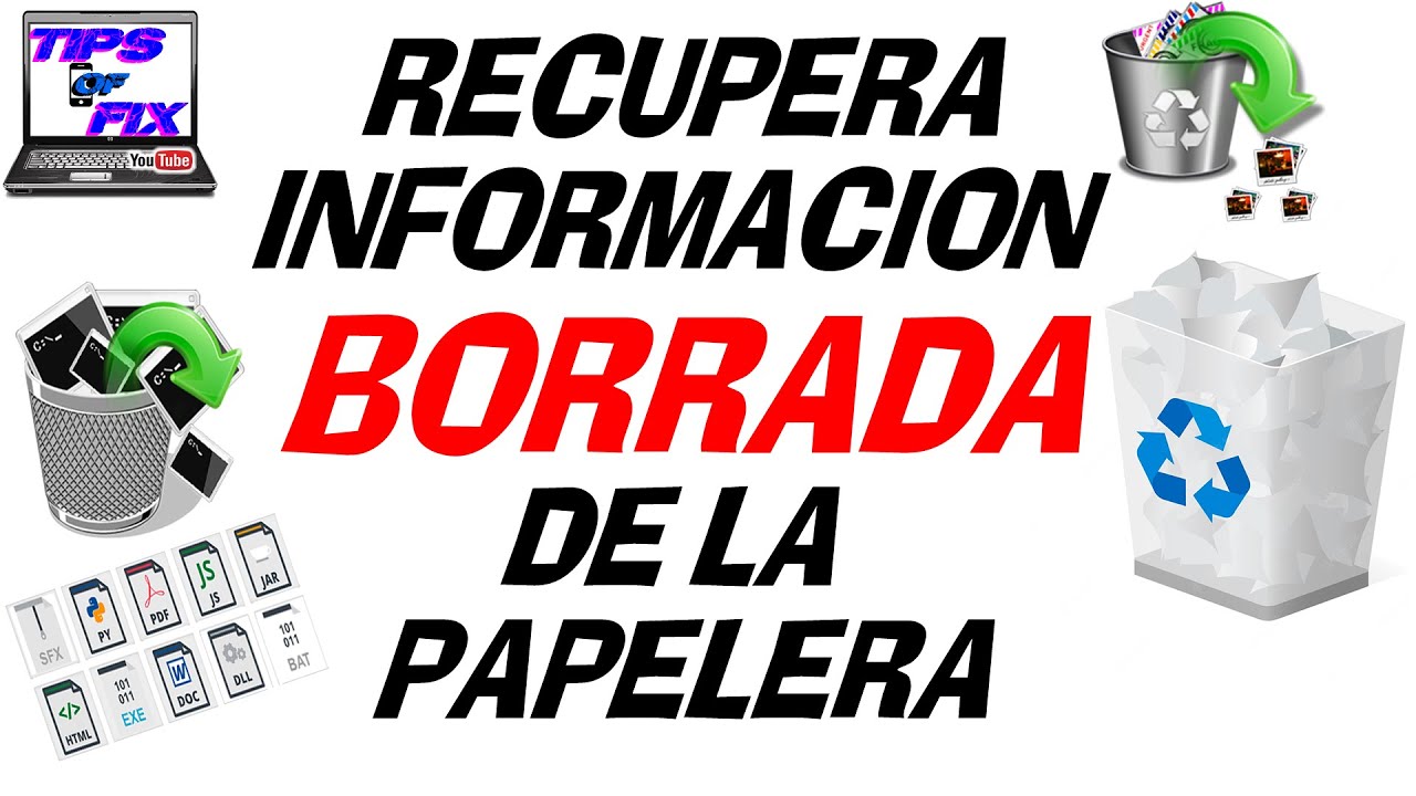 CÓMO RECUPERAR FOTOS Y VIDEOS BORRADOS DE LA PAPELERA DE RECICLAJE ...