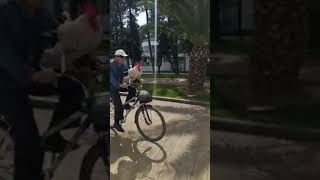 Старик катает петуха на велосипеде!)