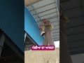Satguru Ki Seva Safal ha# dharmik song#punjabi music#viral