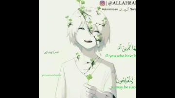 اجمل حالات واتس اب قران كريم بصوت جميل💖مقاطع دينية قصيرة🌿القارئ طارق محمد🌿Qur'an Staus....