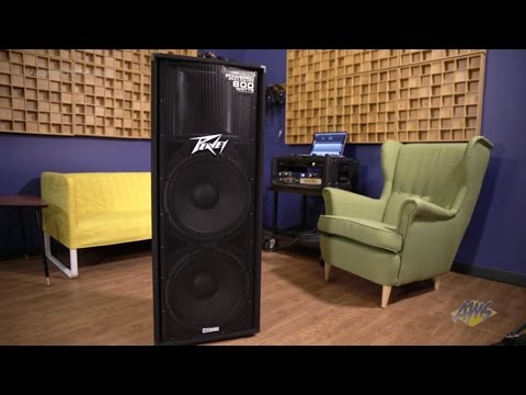 Peavey PV215D Powered PA Speaker - Peavey PV215D