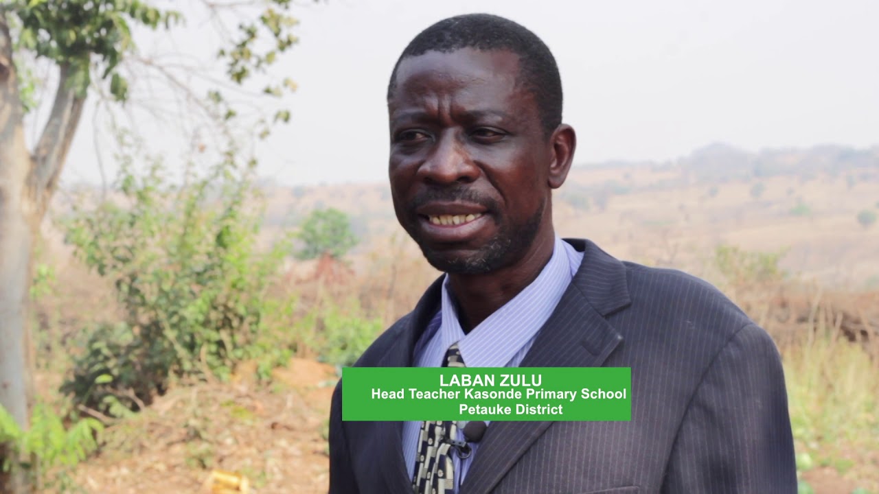 dissertation help service africa