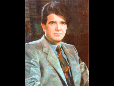 محمد رضا شجريان - به سکوت سرد زمان