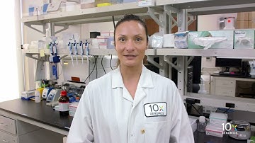 Single Cell Gene Expression LT Protocol v3.1 | Prepare Master Mix