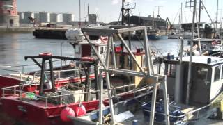 Ireland SmartBay System - Unravel Travel TV