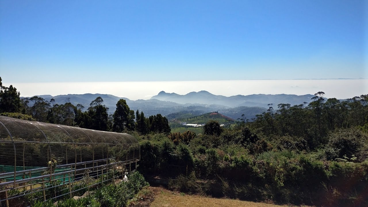 The Beauty Of Ooty.