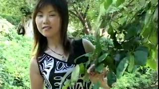 越南新娘-費用便宜公開透明