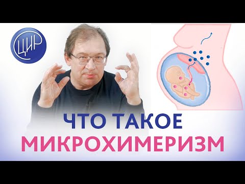 Video: Пермь прокуратурасы апелляциялык арыз берип, Юшковдун Холокостту четке какканы үчүн соттолушун талап кылууда