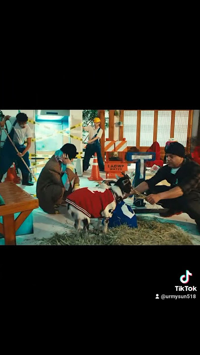 Guess who's back ...It's your boy GD #gd #gdragon #kpop #bigbang #cat #kitten #power #gd_power
