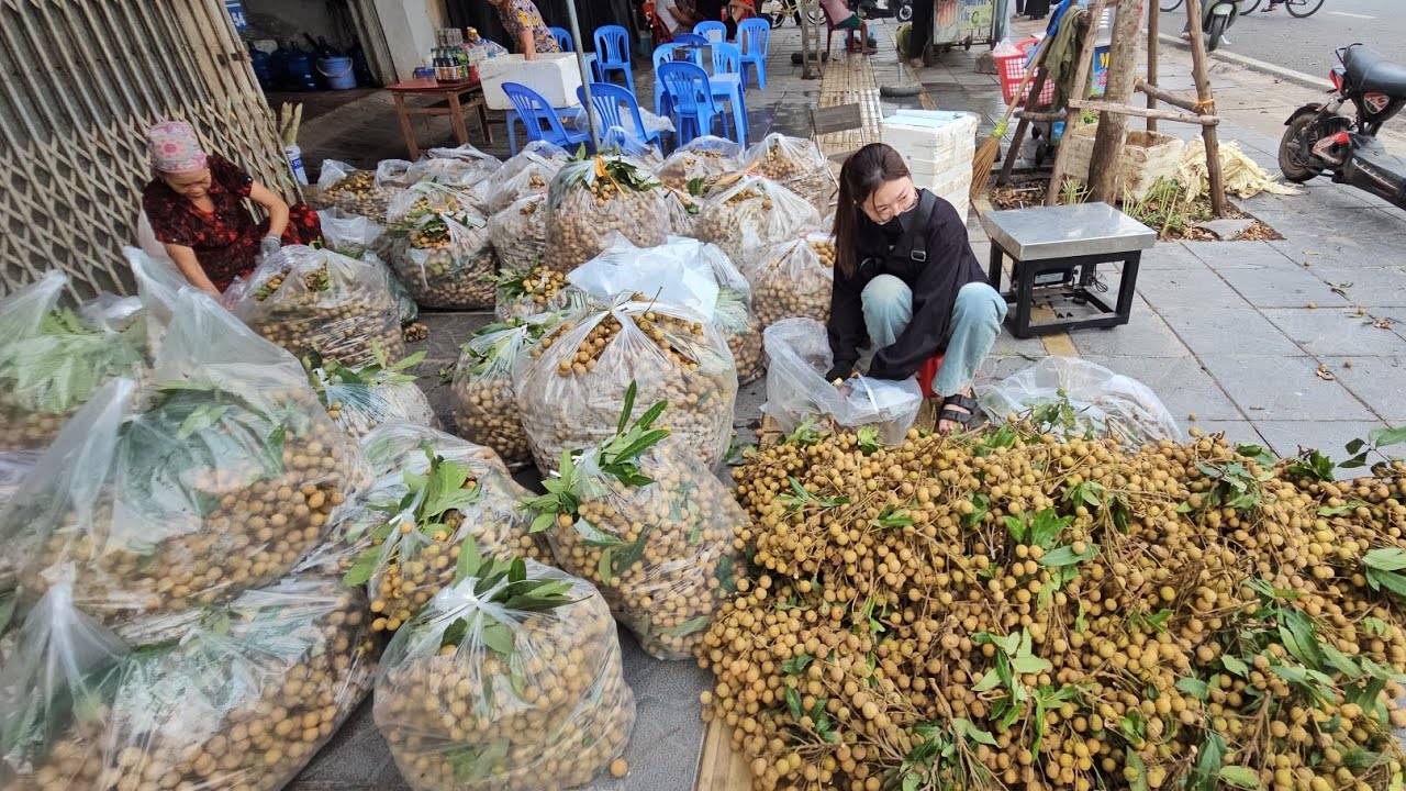 TỔNG HỢP GIÁ NHÃN HÔM NAY ÍT THƯƠNG LÁI HƠN MỌI HÔM TẠI CẦU CÁT THỊ XÃ CHŨ 