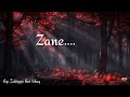 ZANE 14 ZANE 14