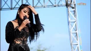 DENDAM KEBENCIAN  ANISA RAHMA  New Pallapa LIVE PAYANG