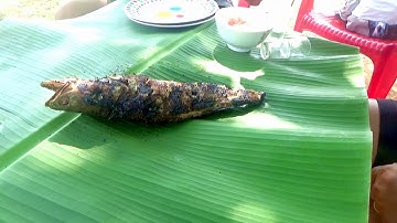 CÁ LÓC NƯỚNG TRUI, MÓN NGON ĐỒNG QUÊ VIỆT NAM