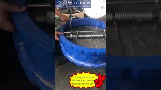 Pressure test of butterfly check valve,ductile iron,stainless steel valve disc,DN700 PN10
