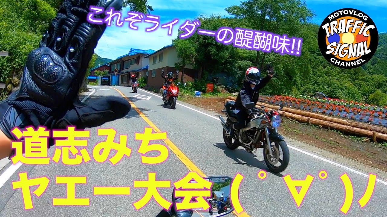 【TS Motovlog #82】これぞライダーの醍醐味!!道志みち ヤエー大会!! 　CBR600RR GSX1300R【モトブログ】