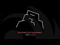 Lights- Skydiving (Cliff Recording) [Official Audio]