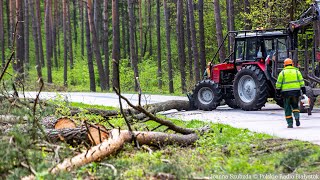 Wycinka drzew na trasie Białystok - Olmonty