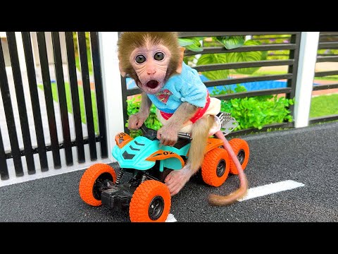 Monkey Baby Bon Bon rides a motorbike and plays in the park with the puppy
