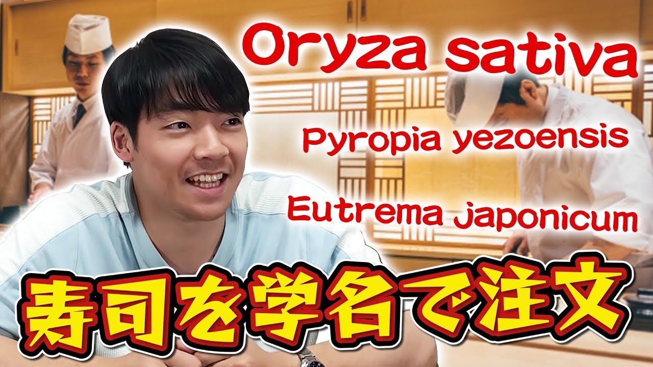 【学名寿司】大将！トラシュルス・ジャポニカスひとつ！クイズ王が生物学の正式名称で注文してみる