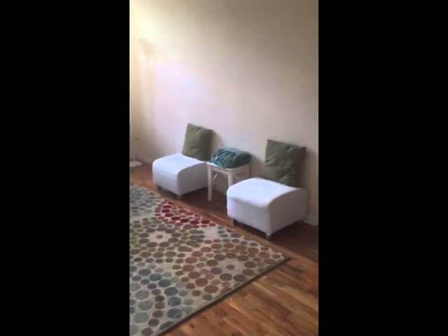 Video 1: Furnished living room with great sunlight and high ceilings