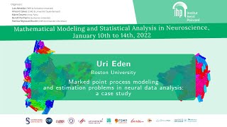 Marked Point Process Modeling and Estimation Problems in Neural Data Analysis