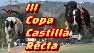 III Copa Castilla de Recta en pista El Molino, domingo 25 junio 2023