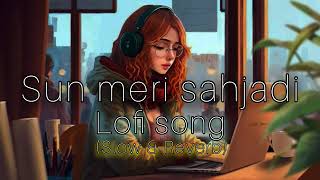 Sun Meri Shehzadi Main ( slowed reverb ) crazy Bollywood lofi music Trending viralHit Crazy