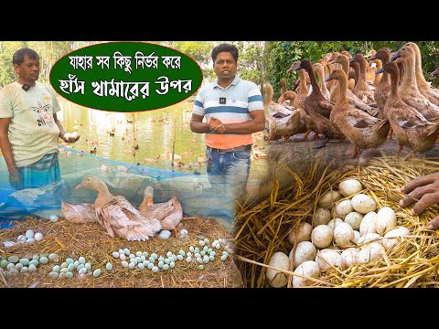 সকল অভাব দুর করেছেন এই হাঁস খামার দিয়ে | ডিম বিক্রি করে আজ সফল | Duck farming | Khamar Bangla 24.