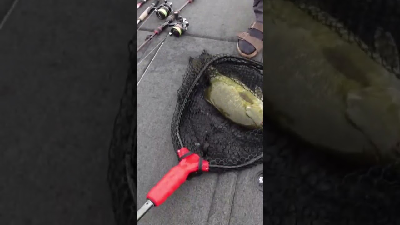 This will never get old! 🎣🎣