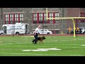 Delaware County Police K-9 Competition 2015 Delaware County Police K-9 Competition 2015
