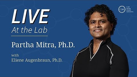 LIVE At the Lab with Partha Mitra: AI and brain circuits