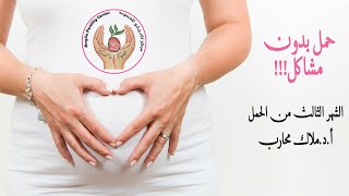 الشهر الثالث في الحمل- أ..دكتور ملاك محارب - third month in Pregnancy Prof.Dr. Malak Mohareb